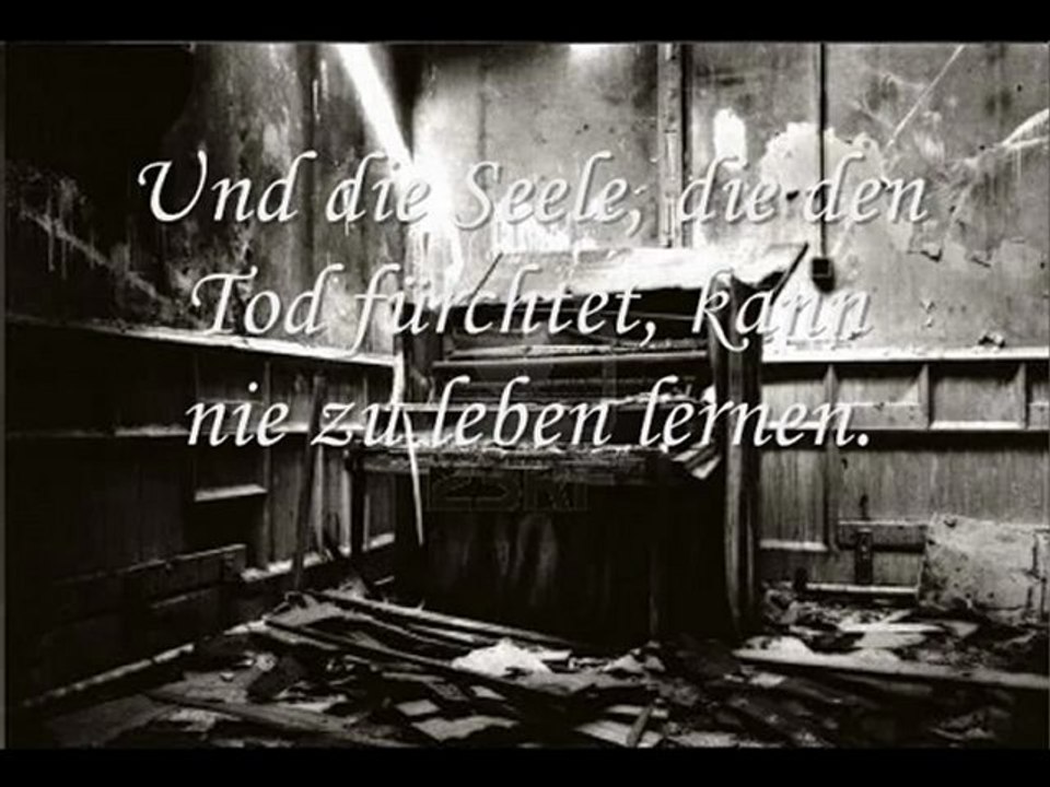 The Rose -Für ganz besondere Frauen!!!!!