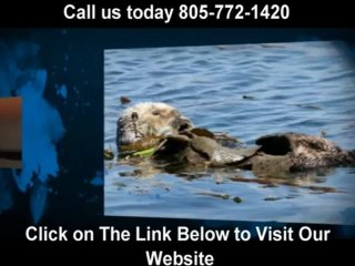 best morro bay restaurants (805) 772-1420 "Otter Rock Cafe"
