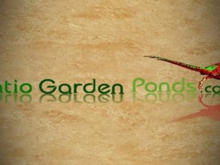 Orchard Nest Box Review