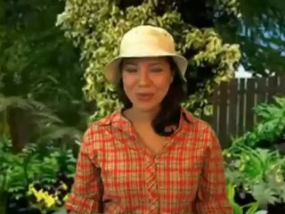 Stoneware Travel Mug Review