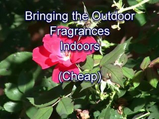 How to Bring the smells of the outdoors Indoors.