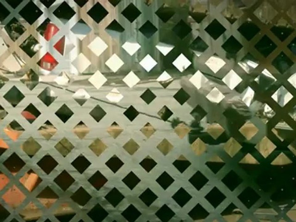 Scrap Yard in Mississauga