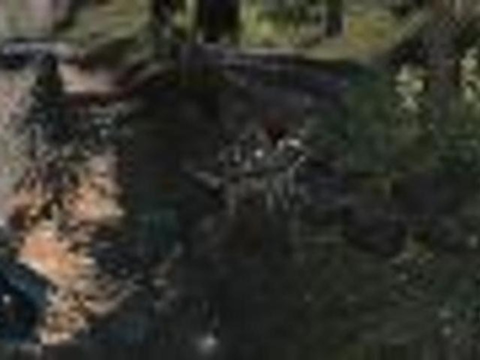 Assassin's Creed 3 - Burglar on the Homestead