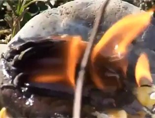 erdoğan emir - sen varsın orda