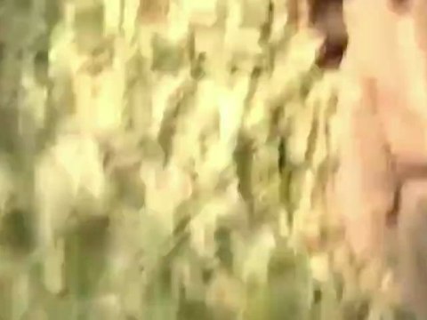 Daytime UFO activity over Alberta, Canada - 23 September 2012 +ZOOM