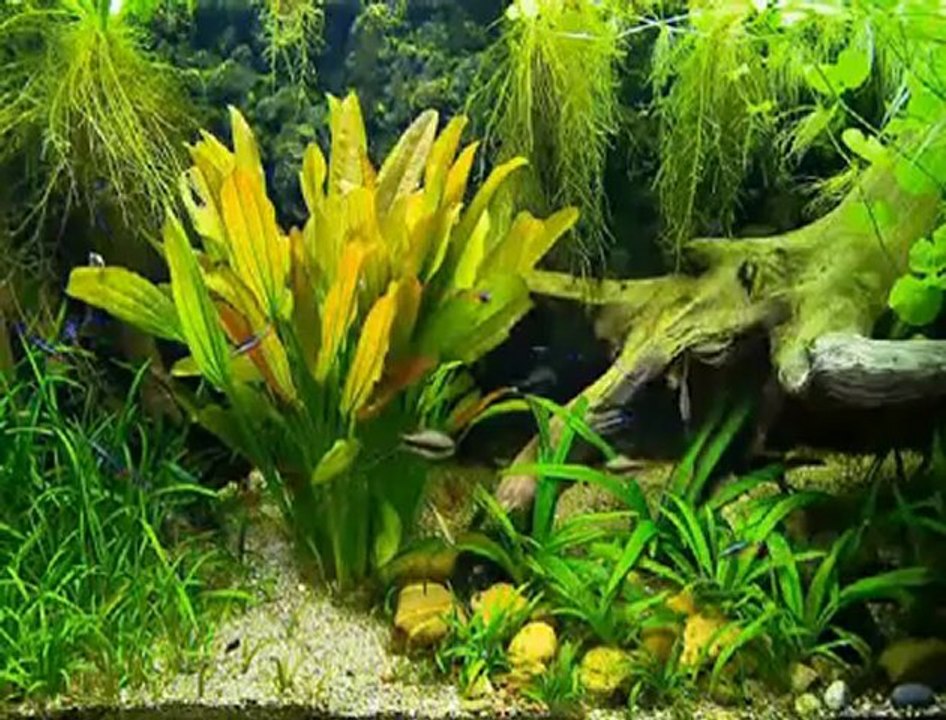 Hasan Kılıçatan Enes İG-Bana Rahmeyle Allahım