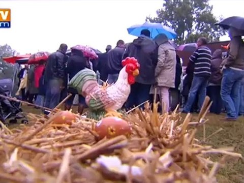 Des poules pour réduire les déchets dans la Sarthe
