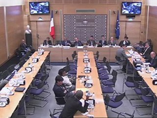 Intervention de Boinali SAID TOUMBOU, Député de la 1ère Circonscription de Mayotte lors de la Commission des lois constitutionnelles