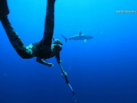 ROADTRIP: Sharks & Chicks | Life's A Beach Ep03