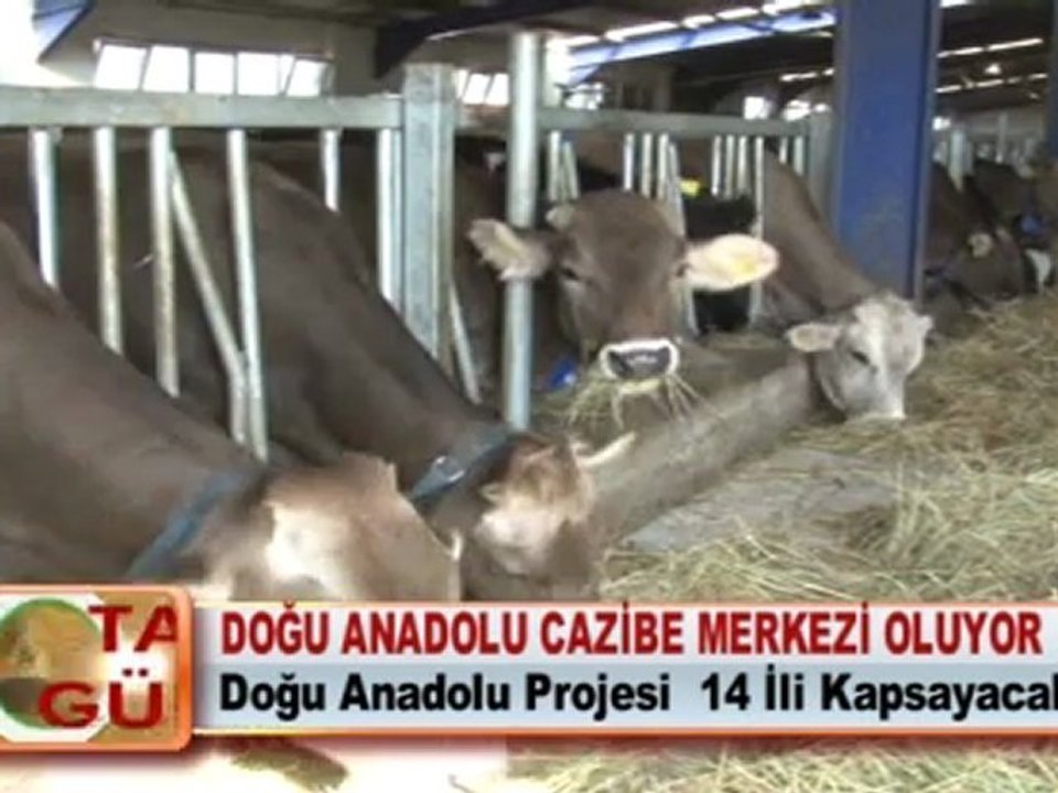 DOĞU ANADOLU CAZİBE MERKEZİ OLUYOR
