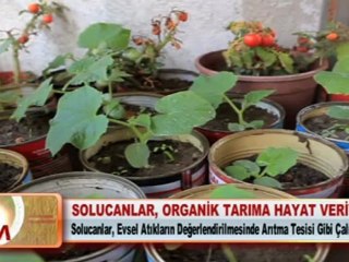 SOLUCANLAR, ORGANİK TARIMA HAYAT VERİYOR