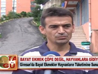 BAYAT EKMEK ÇÖPE DEĞİL, HAYVANLARA GİDİYOR