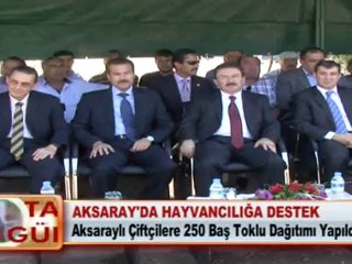 AKSARAY'DA HAYVANCILIĞA DESTEK