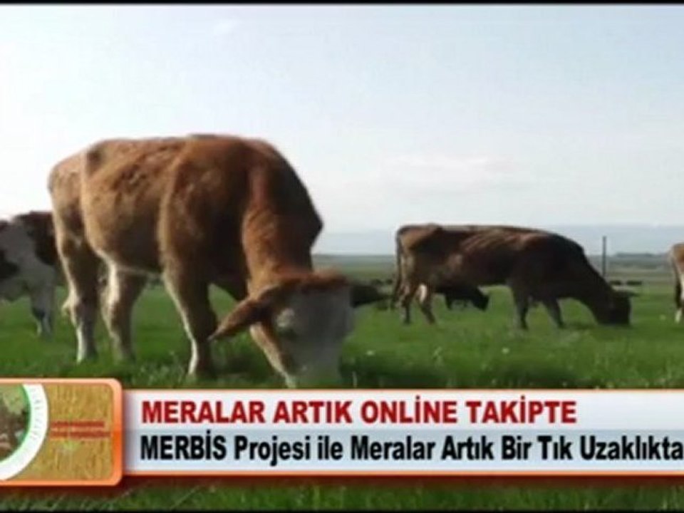 MERALAR ARTIK ONLİNE TAKİPTE