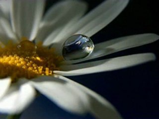 ÖZ MÜHENDİSLİK "Esra Öztürk"