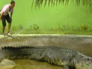 World's biggest crocodile puts small town on map