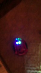 Corral Exiting Behavior: Dark