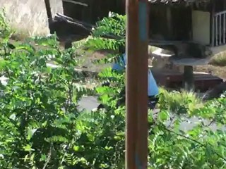 Omar torneo de ases 2012