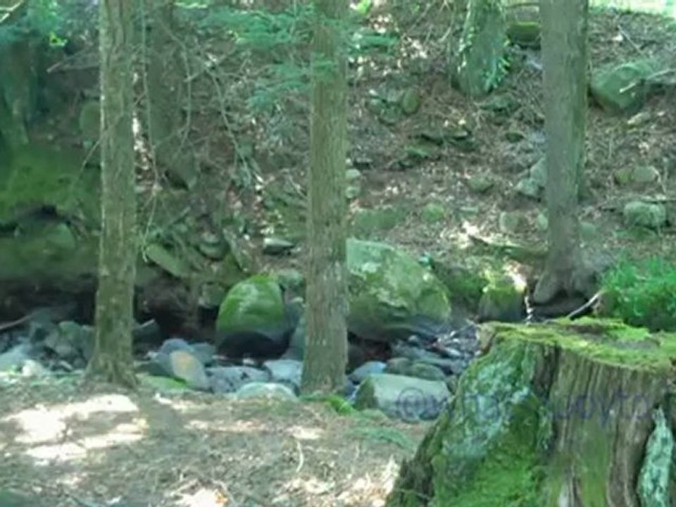 30 Seconds of Peace: The Small Creek