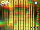 Canal10-ADN-Armas-23092012