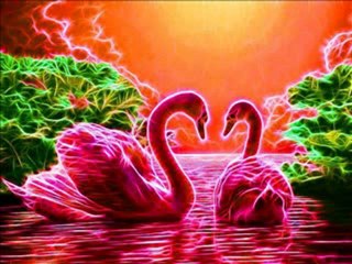 DAILY IN  CHRIST - 227