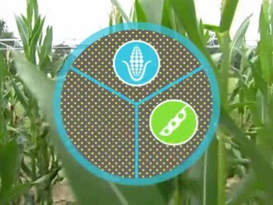 كيف يمكن للمزارعين حماية المناخ؟ | العولمة 3000