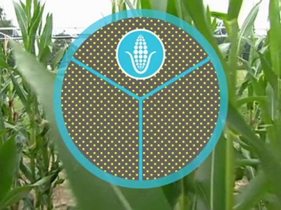 Wie können Bauern das Klima schonen? | Global 3000