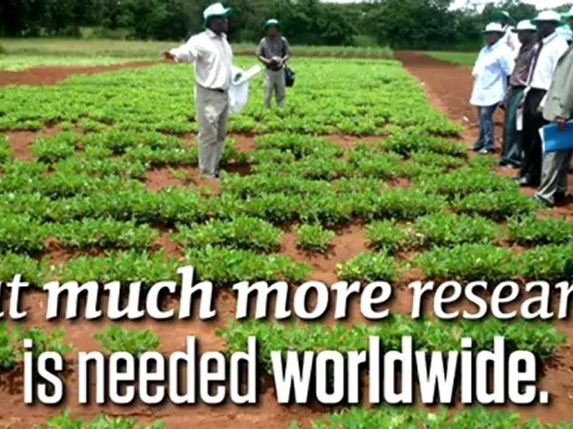 Investing in Agriculture vital for survival