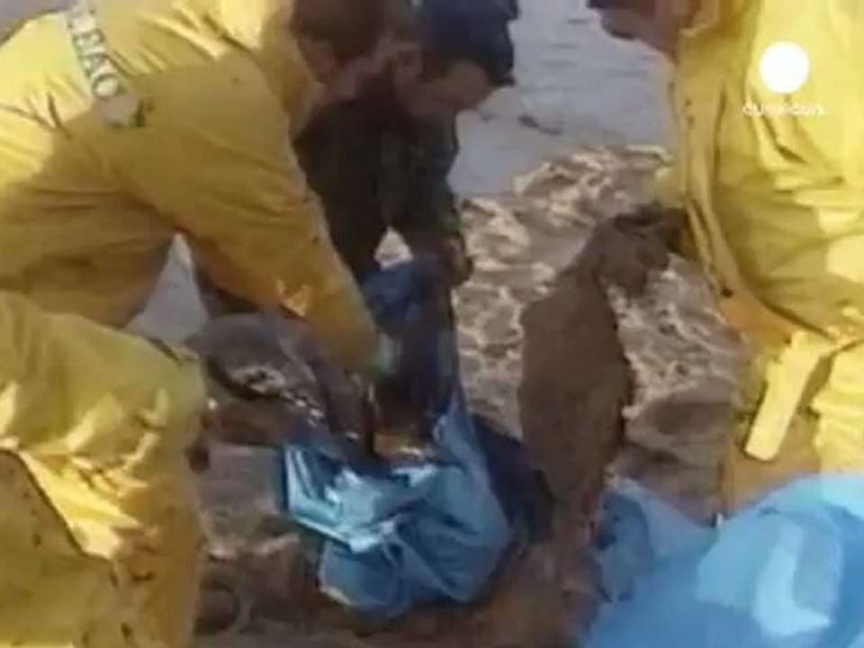 Naufragio 'Erika': Total, Cassazione conferma condanne