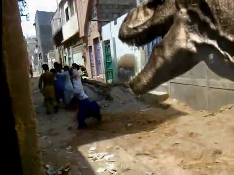 T-Rex in real life in Qayyumabad