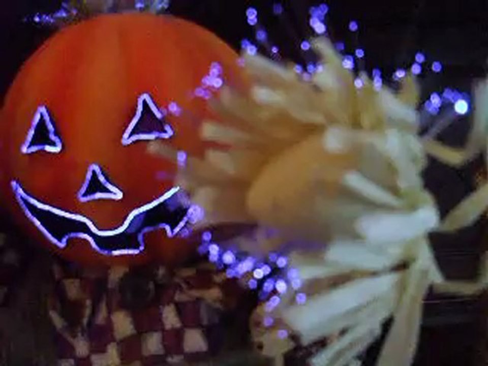 Fiber Optic Scarecrow