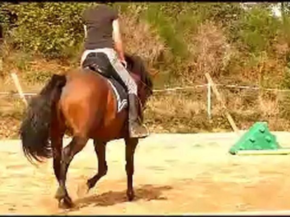 équitation obrizo