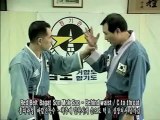 Jungki Kwan Hapkido teaser - CHOI Yong-Sul Orthodox Hapkido