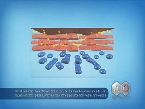 Anti Aging Stem Cell Premium Serum to Look Young