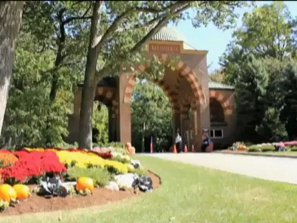 Rydercup: Das größte Team-Event im Golfsport startet am Freitag