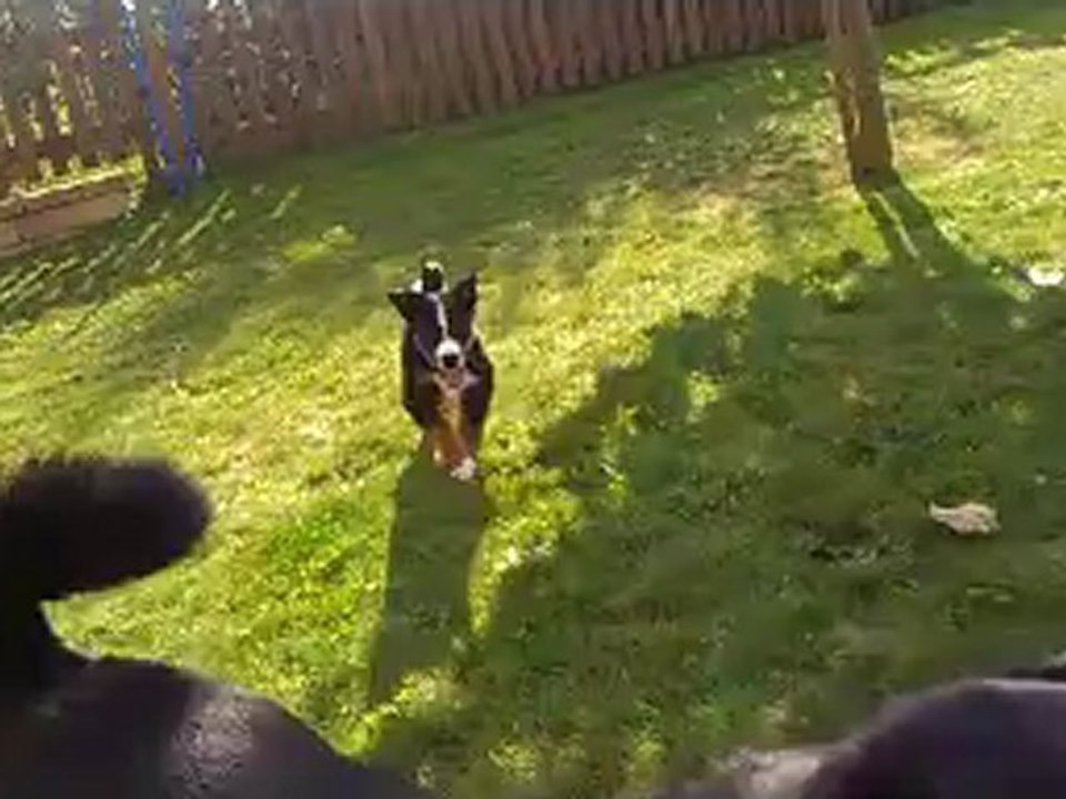 Arko et Kip premier jeu