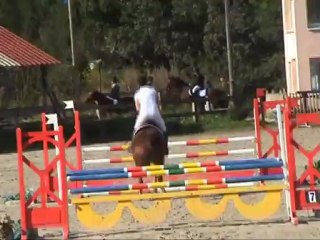 morgane et tara 01 09 2012   http://tara-de-chalvergne.perso.sfr.fr/