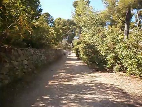 Redden au Parc des Bruyères 24/09/2012