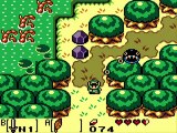 Guide Link's Awakening - Partie 3 : Le Marais des Anémones