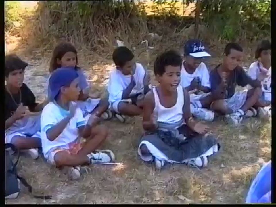 1996 Les grandes vadrouilles