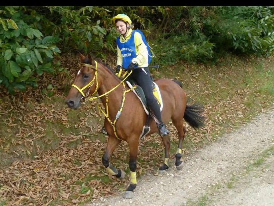 Endurance Seraicourt 60km Sept 2012