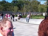 Jefferson Memorial & MLK Memorial