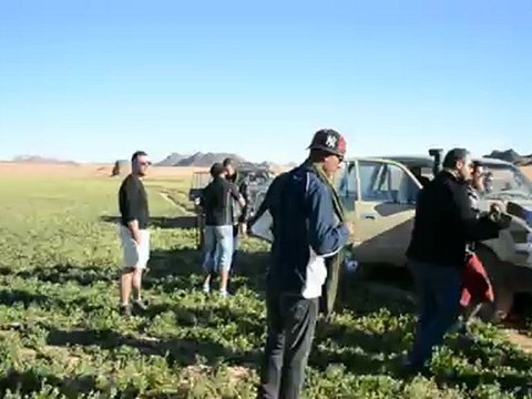 Sahara algérien (Algerian desert ) Djanet