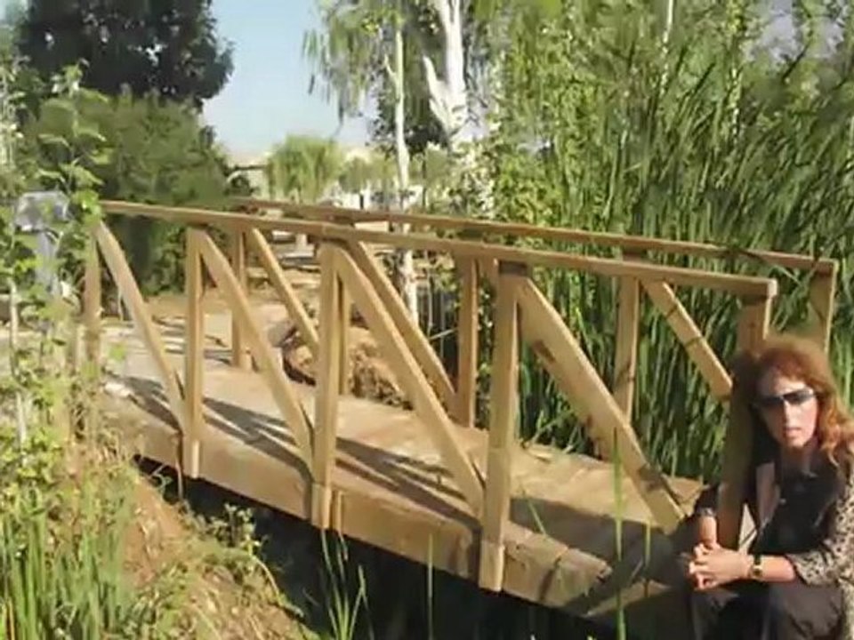 ANA ARIAS SAAVEDRA- UNHA NOITE NA EIRA DO TRIGO- MANUEL CURROS ENRIQUEZ