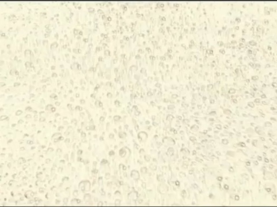 Bubble Ghost