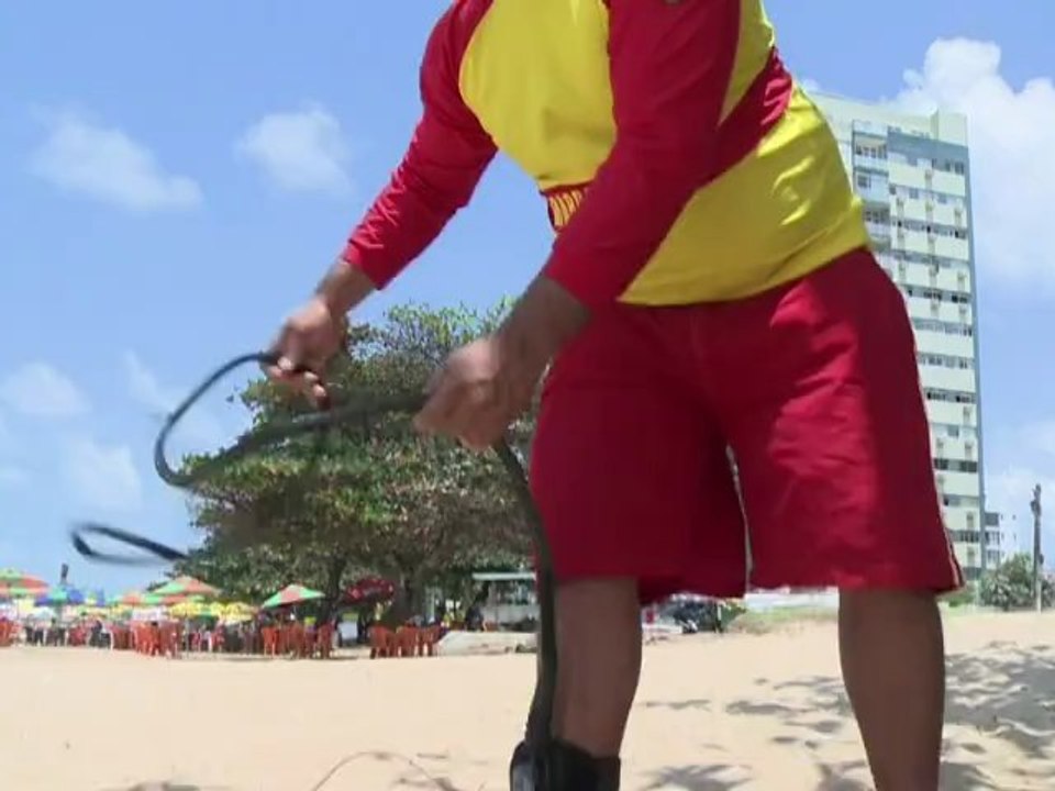 Beaches of northern Brazil hit by shark attacks