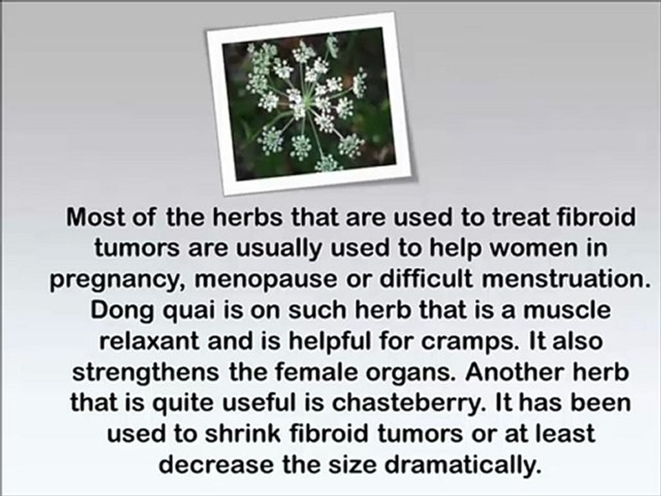 Alternative Cure For Uterine Fibroids - how to reduce uterine fibroids naturally