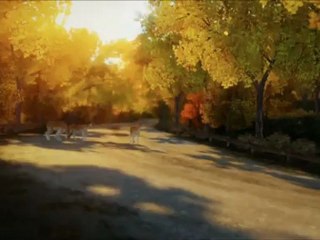 Forza Horizon- Behind the Scenes #2