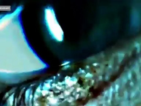 Преступление и наказание 2012-04-23 - Лаборатория кайфа