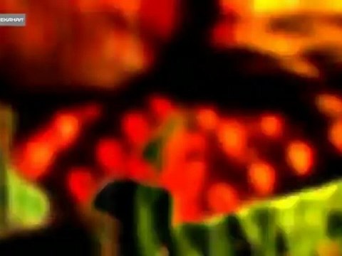 Преступление и наказание 2012-06-03 - Деньги с запахом йода